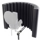SE Electronics Filter RF-X